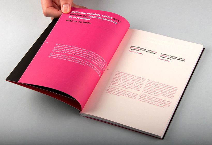 XXI Muestra de Artes 10