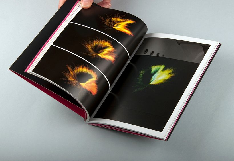 XXI Muestra de Artes 11