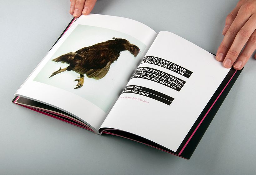 XXI Muestra de Artes 15