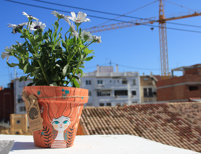 MACETAS ILUSTRADAS 1