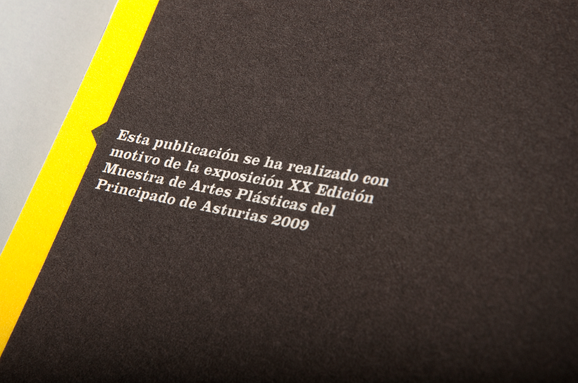 XX Muestra de Artes 17
