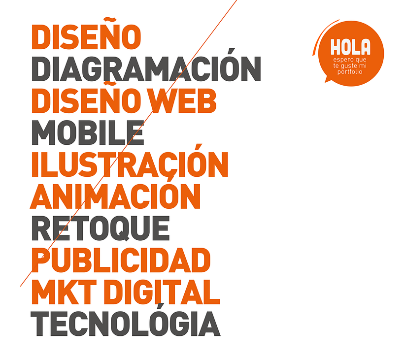 PORTAFOLIO 2011-2013 1