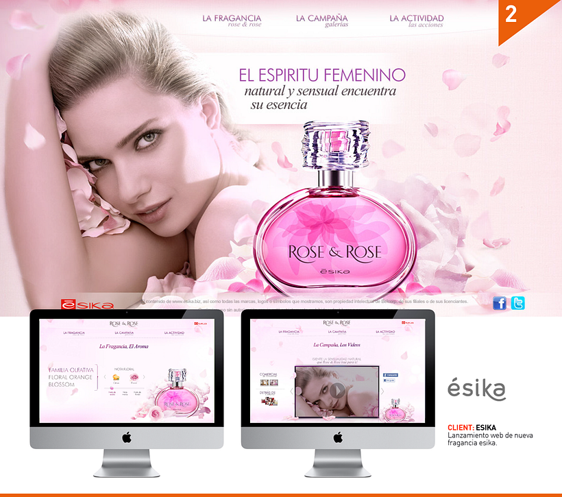 PORTAFOLIO 2011-2013 7