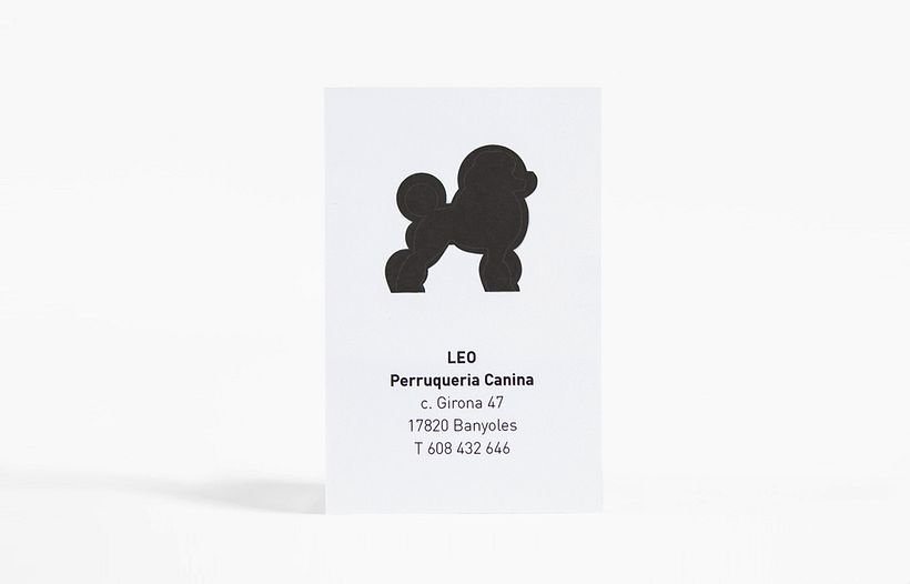 Leo - Perruqueria Canina -1