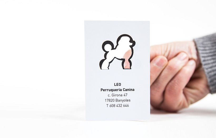 Leo - Perruqueria Canina 0
