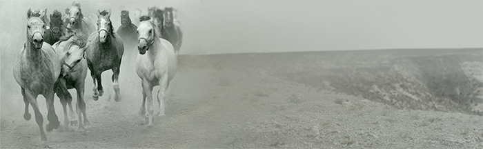 Álvaro Mocoroa - Web Design 2