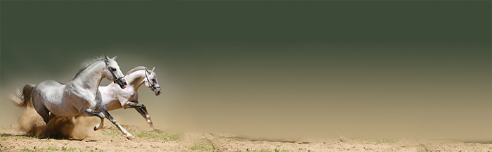 Álvaro Mocoroa - Web Design 4