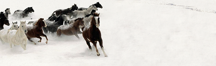 Álvaro Mocoroa - Web Design 6