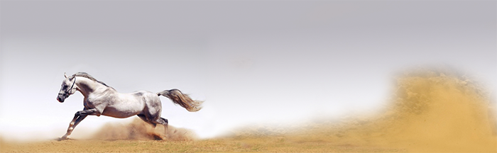 Álvaro Mocoroa - Web Design 8