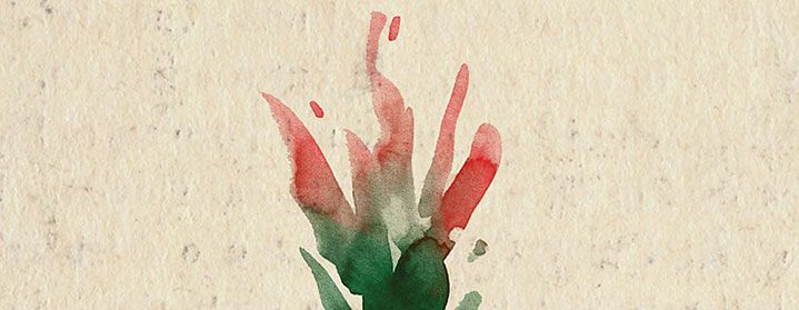 Fiore Rosso | Bookshop 2