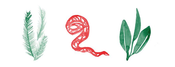 Fiore Rosso | Bookshop 4