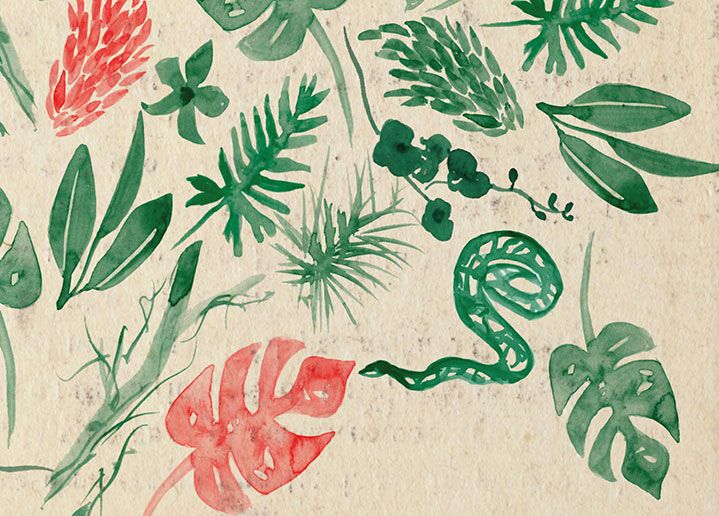 Fiore Rosso | Bookshop 7