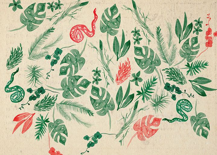 Fiore Rosso | Bookshop 5