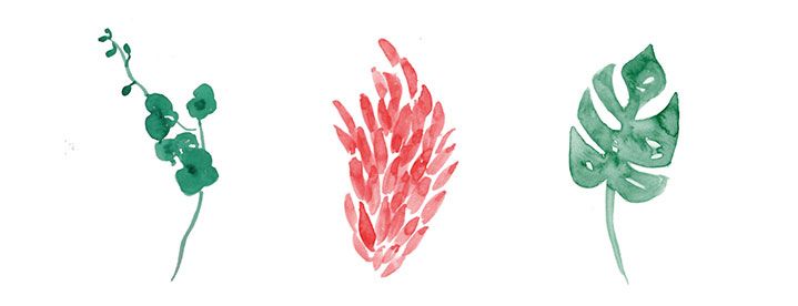 Fiore Rosso | Bookshop 8