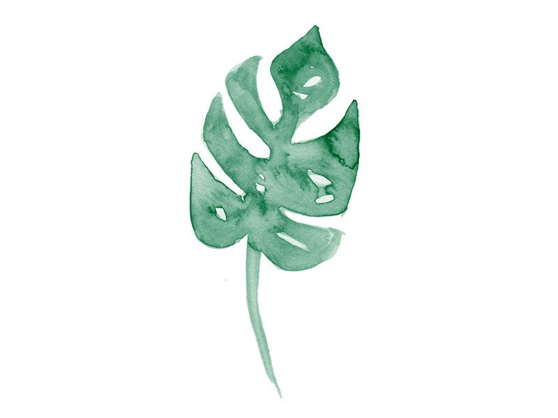 Fiore Rosso | Bookshop 15