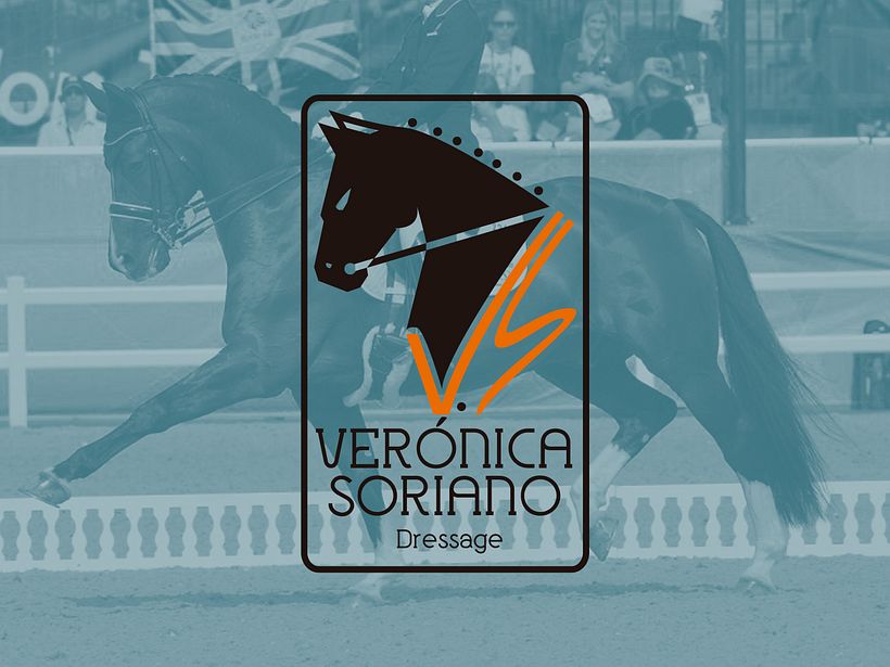 Proyecto para V.S  0