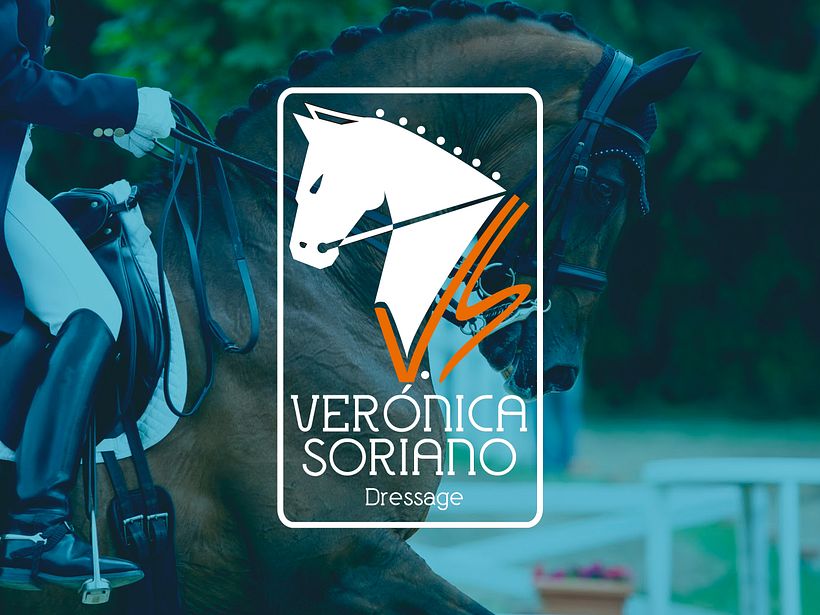 Proyecto para V.S  1