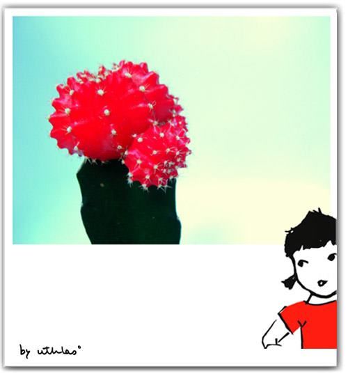 LaNiñaDeLasColetas 2