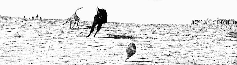 The silent one... Work in Progress 3