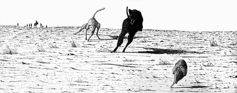 The silent one... Work in Progress 4