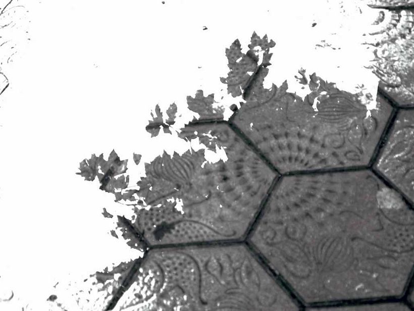 EXPOSICIÓN FOTOGRAFÍA  6