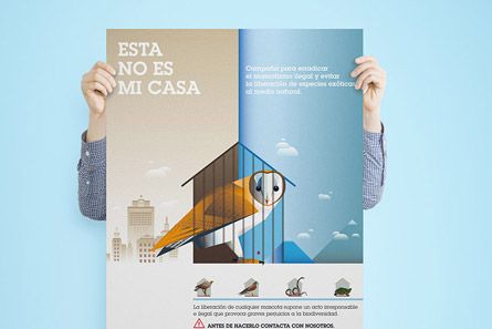 Nuevo proyecto 0