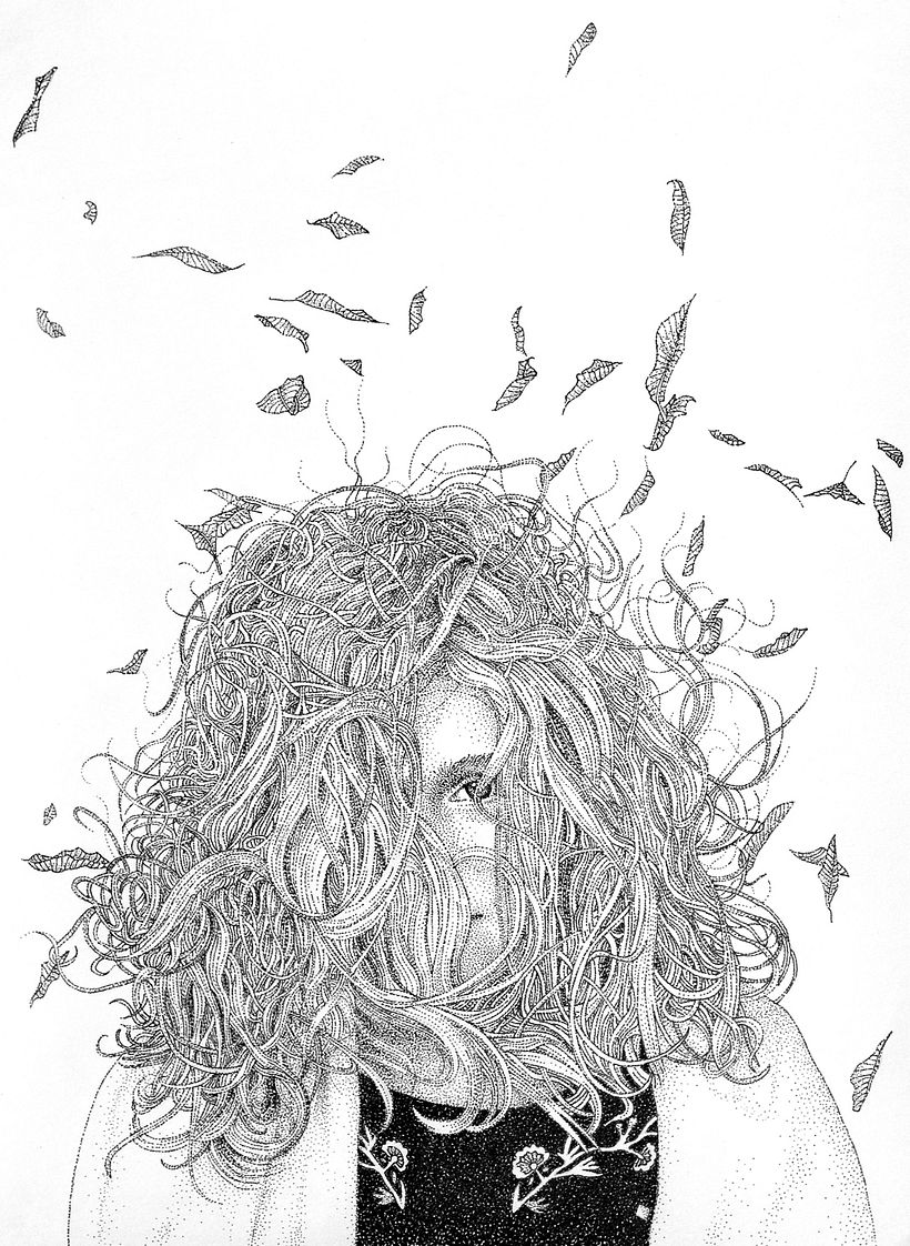 The wind 0