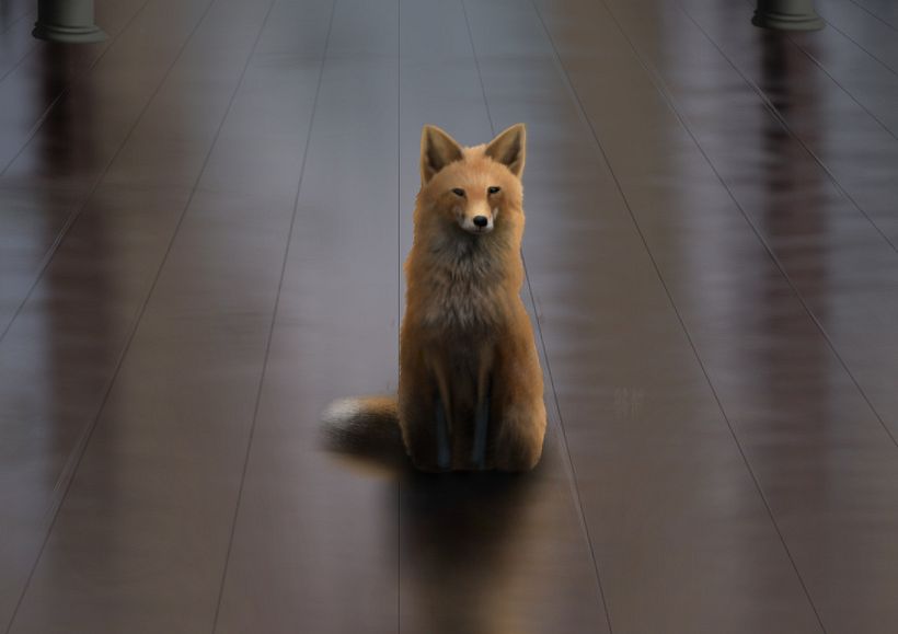 Old fox 5