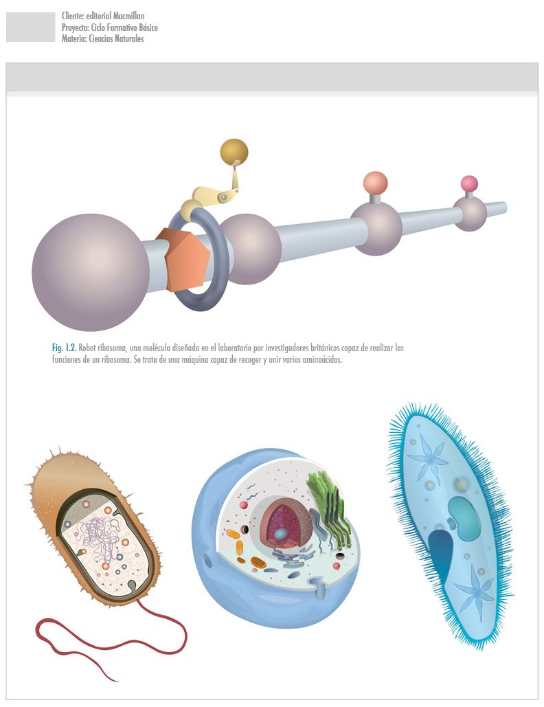 Trabajos editoriales -1