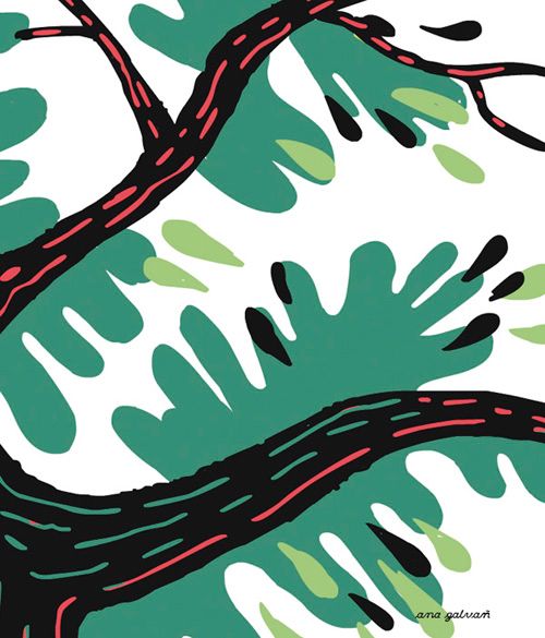 Ilustración editorial 2