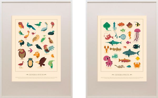 Genera Avis - Genera Piscis 2