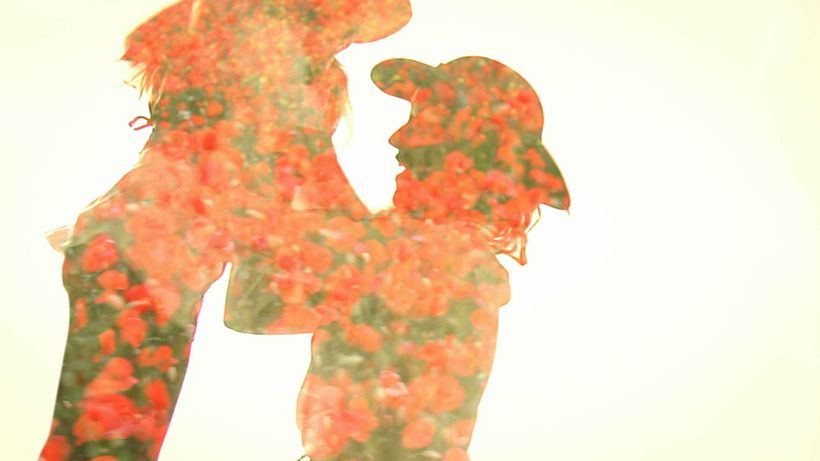 Amapolas -1