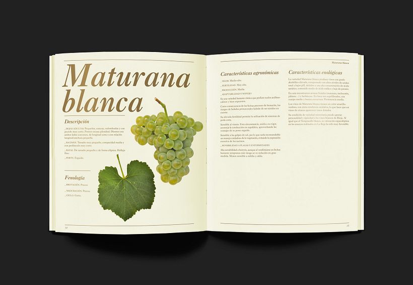 Variedades Blancas 2
