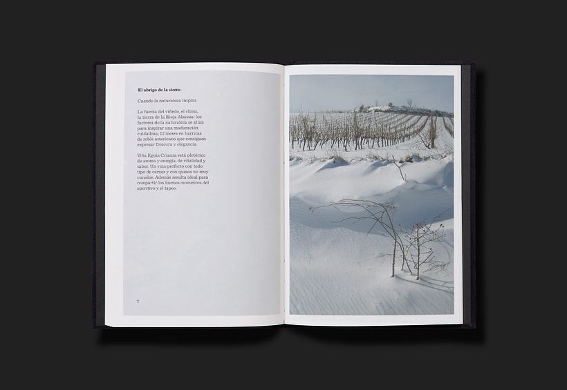 Viña Eguía Catálogo 5