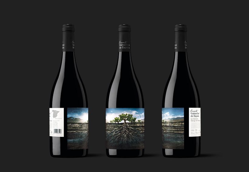 Garnachas de España 2