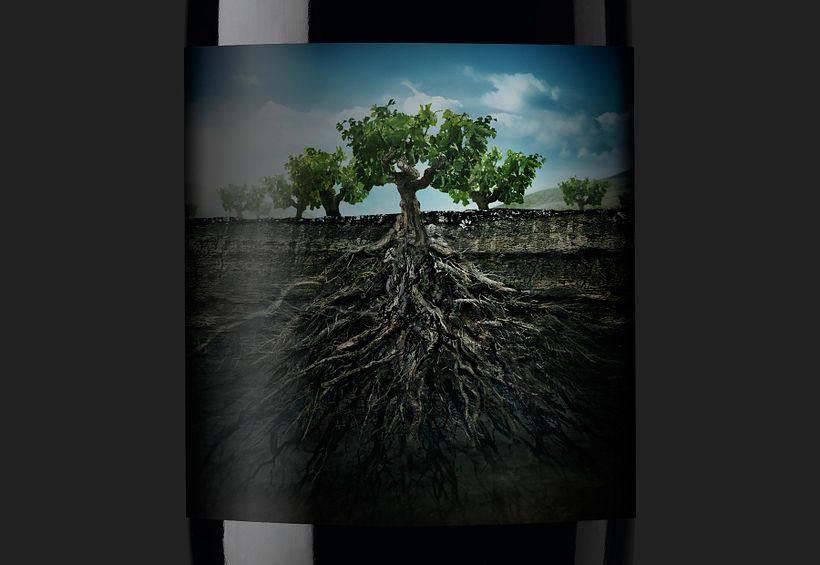 Garnachas de España 5