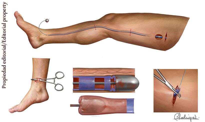 anatomia clínica 1