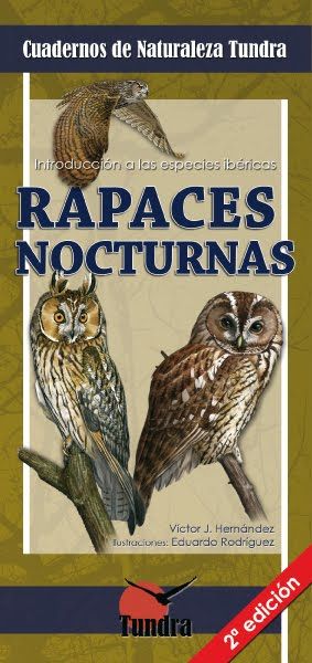 ilustración de naturaleza 0