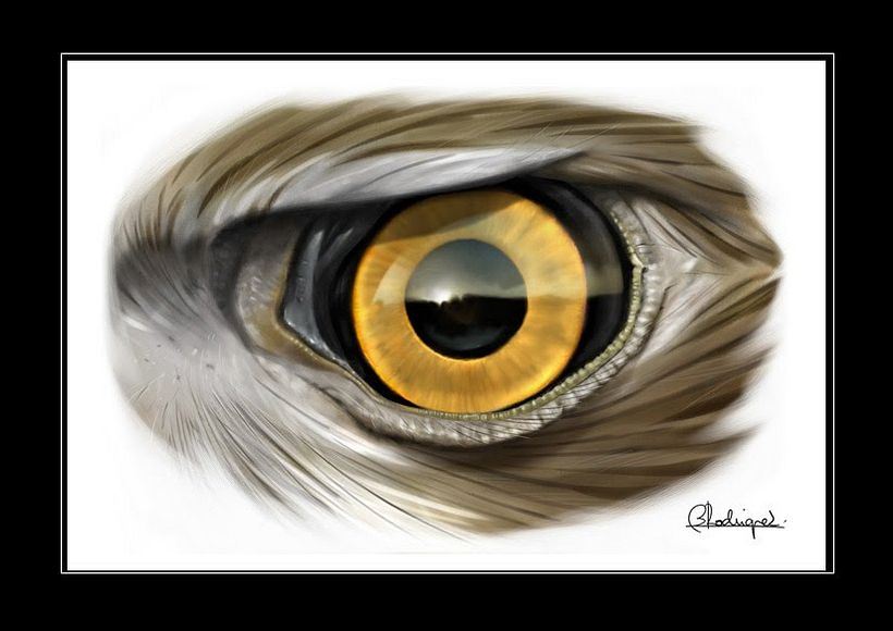 ilustración de naturaleza 4