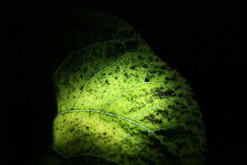 Micro_espacio 1