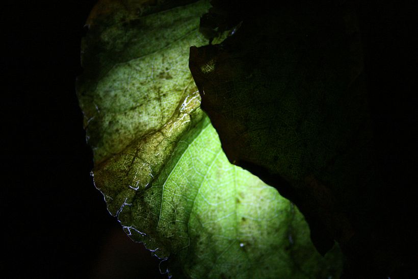 Micro_espacio 4