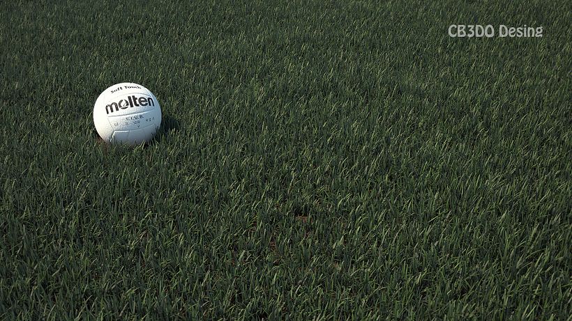 Exterior de Cesped con Pelota 0