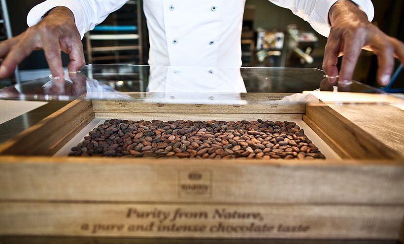 Ürün Tasarımı | Cacao Barry 1