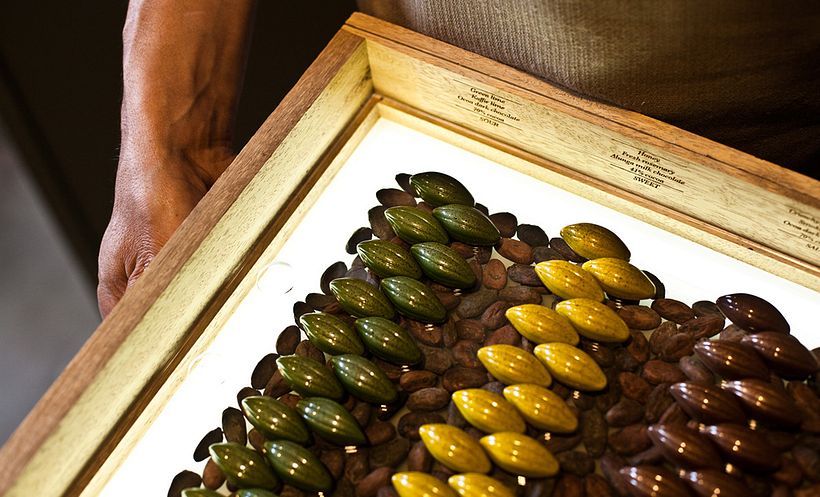 Ürün Tasarımı | Cacao Barry 7