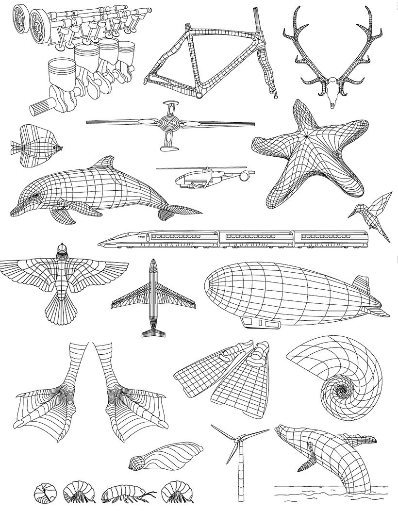Ilustración 8