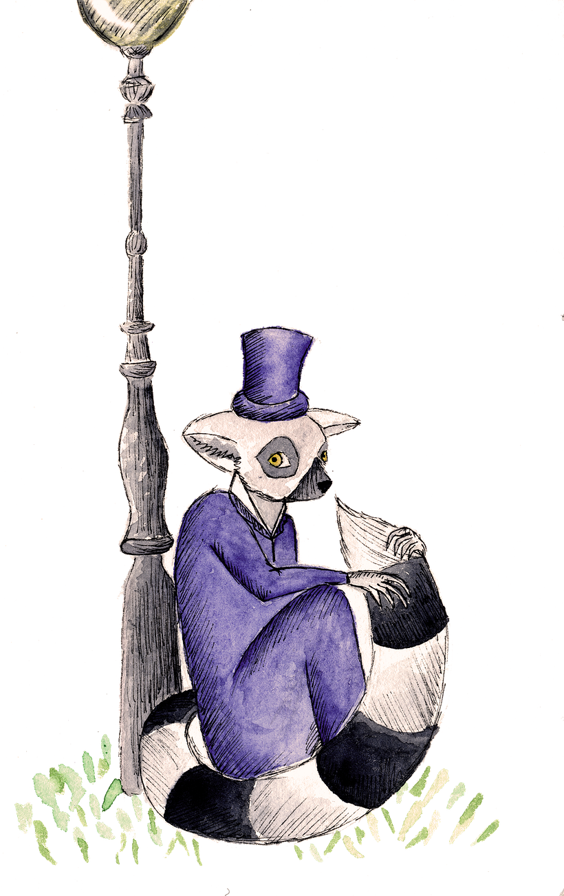 Ilustración 10