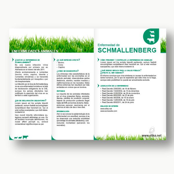 Diseño Gráfico 4
