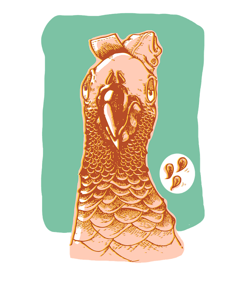 Diseño de camisetas 4