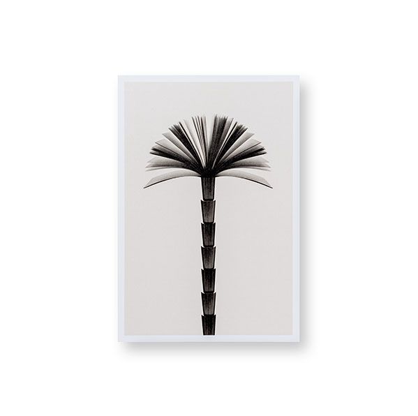 Artes Gráficas Palermo 5