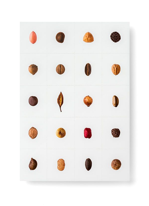 Pep Carrió Studio 1